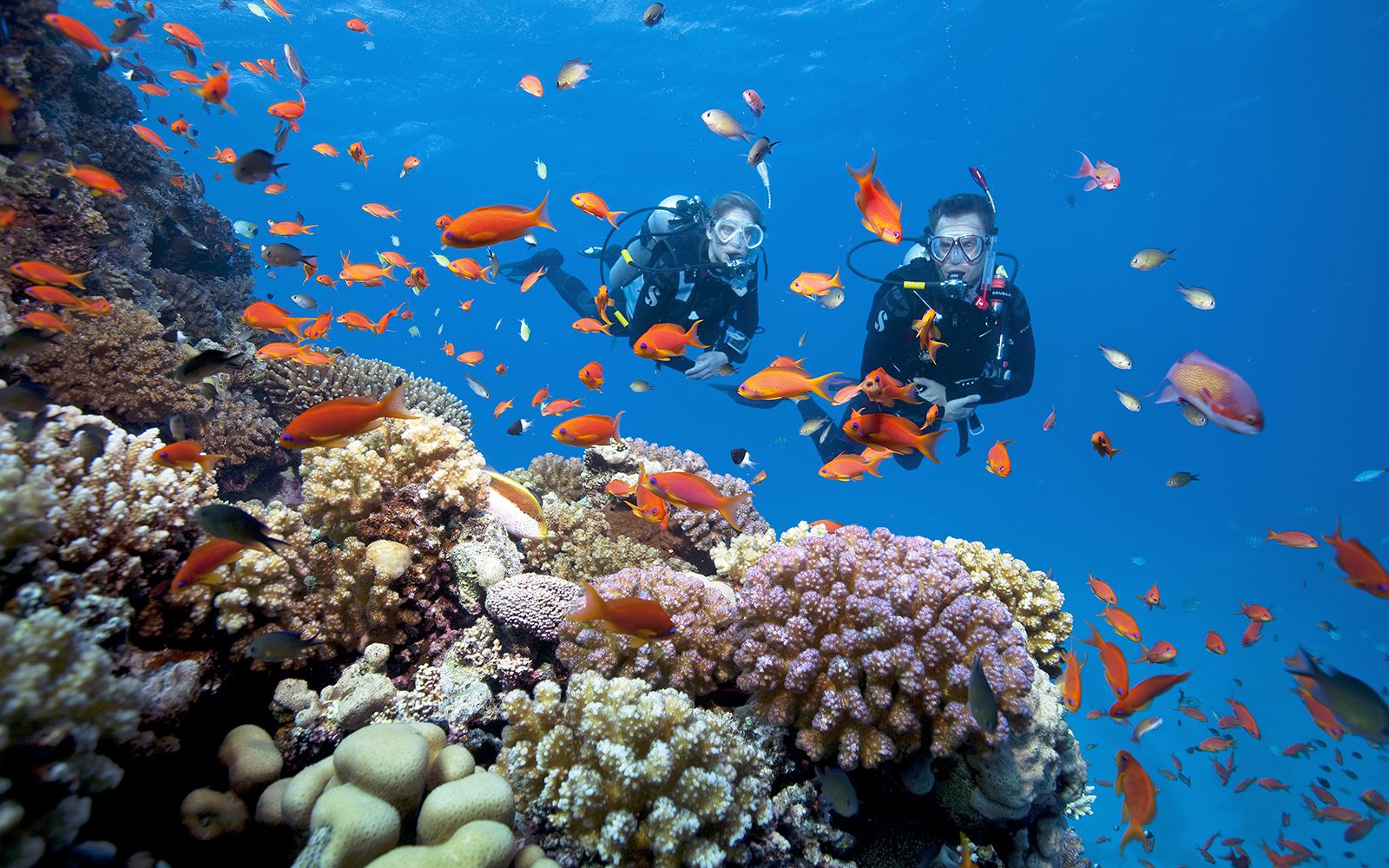 Du lịch Phú Quốc - lặn ngắm san hô